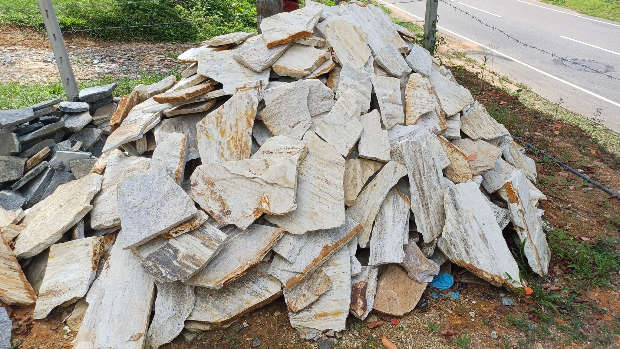 විකසිත පතුරු ගල්