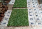 Nehemi Landscaping – භූමි අලංකරණ