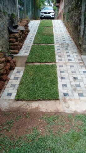 Nehemi Landscaping – භූමි අලංකරණ