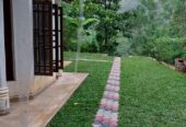 Dilki Landscaping