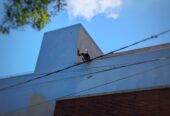 Seka Waterproofing – පින්තාරු කිරීම