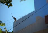 Seka Waterproofing – පින්තාරු කිරීම