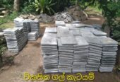 විකසිත පතුරු ගල්