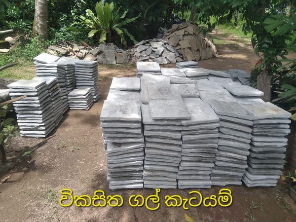 විකසිත පතුරු ගල්