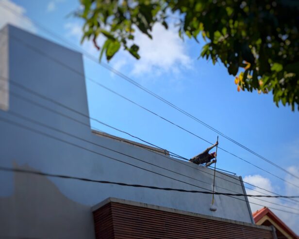 Seka Waterproofing – පින්තාරු කිරීම