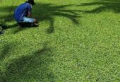 Landscaping – උද්‍යාන අලංකරණය