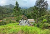 Cabana -කබානා සැලසුම්