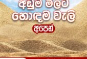 M Enterprises – පස් හා වැලි