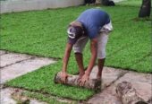 Landscaping – උද්‍යාන අලංකරණය