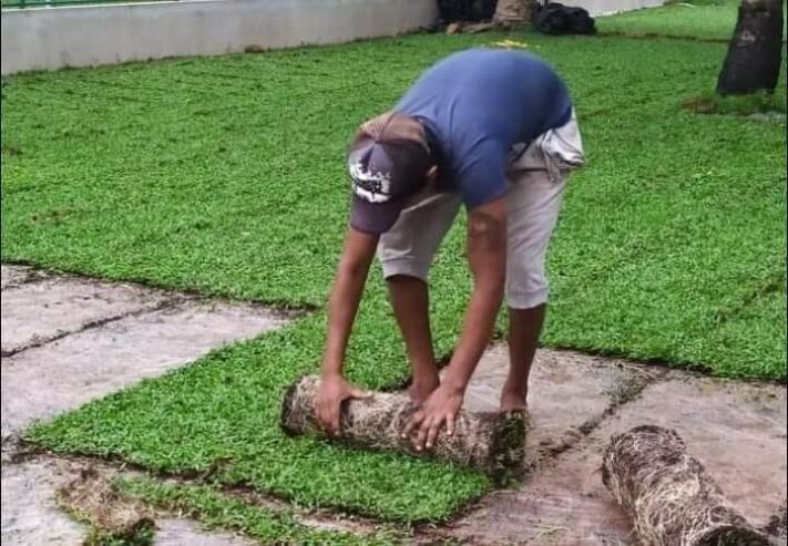 Landscaping – උද්‍යාන අලංකරණය
