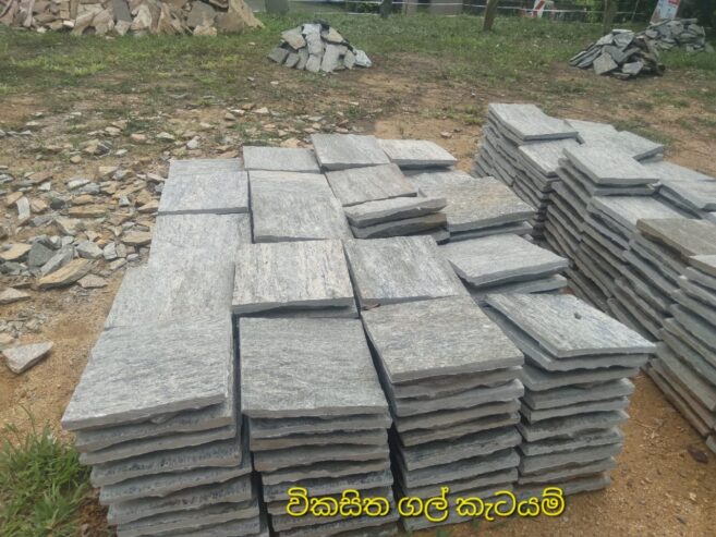 විකසිත පතුරු ගල්