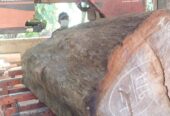 Pathum Wood Supliers – පැතුම් දැව සැපයුම්