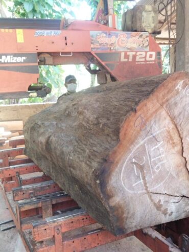 Pathum Wood Supliers – පැතුම් දැව සැපයුම්