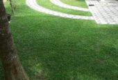 Landscaping – උද්‍යාන අලංකරණය