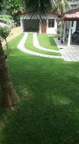 Landscaping – උද්‍යාන අලංකරණය
