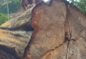 Pathum Wood Supliers – පැතුම් දැව සැපයුම්