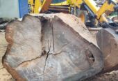 Pathum Wood Supliers – පැතුම් දැව සැපයුම්