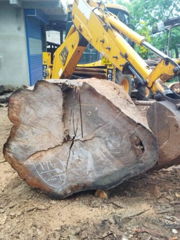 Pathum Wood Supliers – පැතුම් දැව සැපයුම්