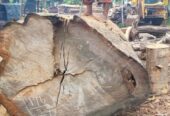 Pathum Wood Supliers – පැතුම් දැව සැපයුම්