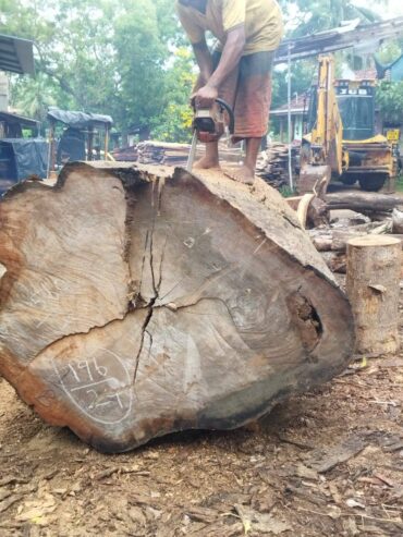 Pathum Wood Supliers – පැතුම් දැව සැපයුම්
