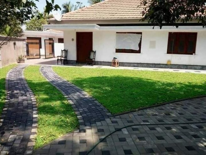 Landscaping – උද්‍යාන අලංකරණය