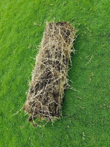 Landscaping – උද්‍යාන අලංකරණය