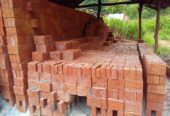 Bricks – රතු ගඩොල්