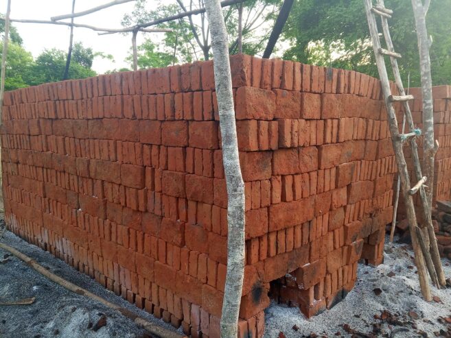 Bricks – රතු ගඩොල්