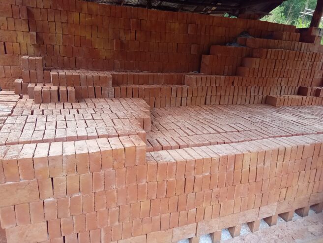 Bricks – රතු ගඩොල්