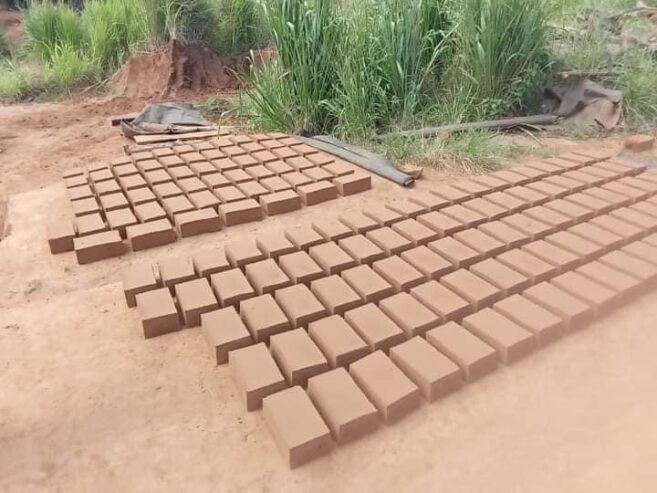 Bricks – දර පෝරනු ගඩොල්