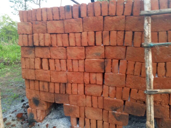 Bricks – රතු ගඩොල්